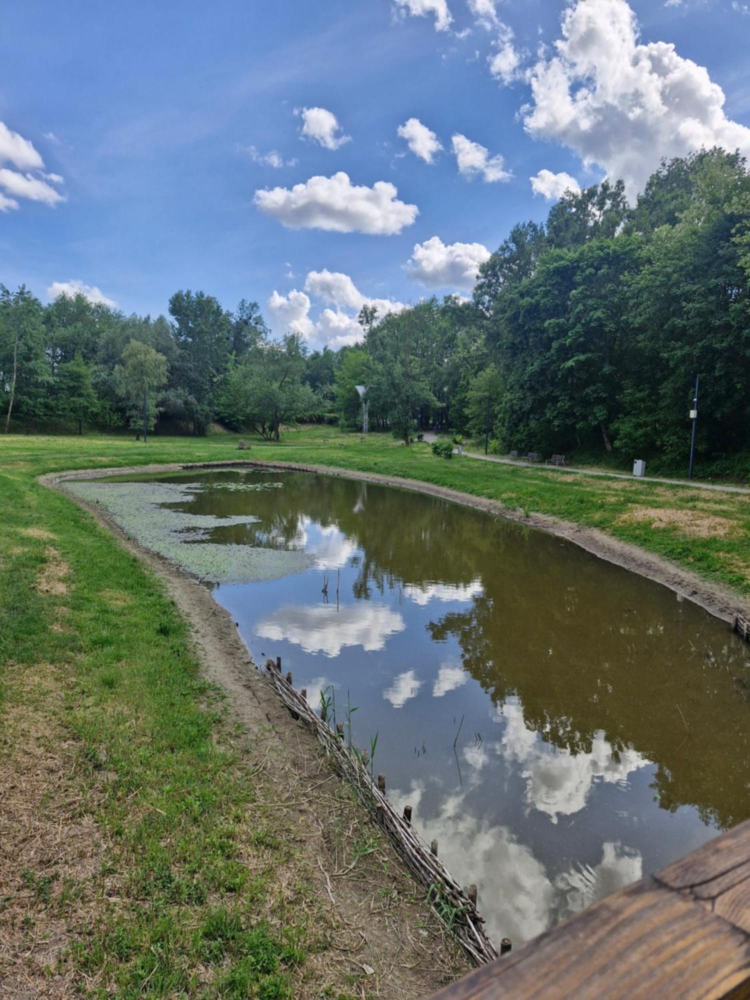 Apartament Cichy I Wygodny Stalowa Wola Extérieur photo